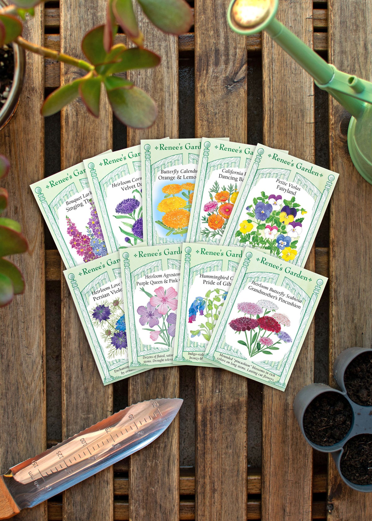 Hand-Picked Seed Bundle - Early Spring Flowers