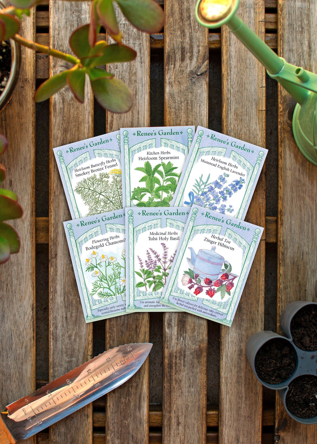 Hand-Picked Seed Bundle - Tea Garden