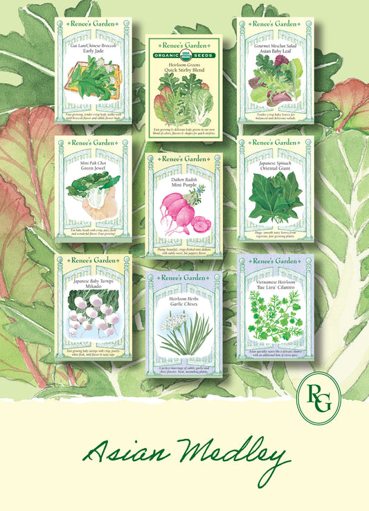 Hand-Picked Seed Bundle - Asian Medley