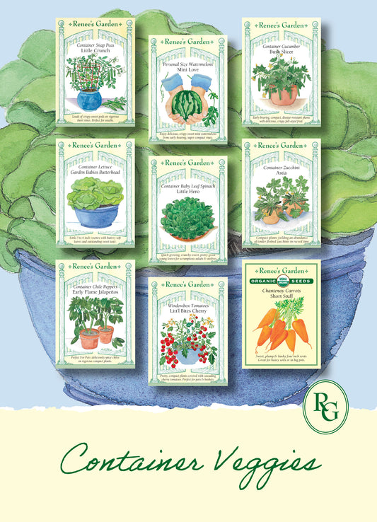 Hand-Picked Seed Bundle - Container Veggies