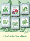 Hand-Picked Seed Bundle - Cool Weather Herbs
