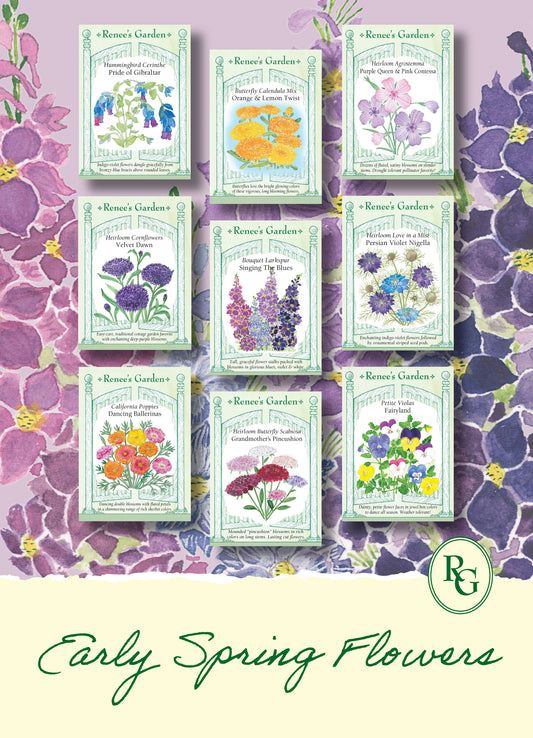 Hand-Picked Seed Bundle - Early Spring Flowers