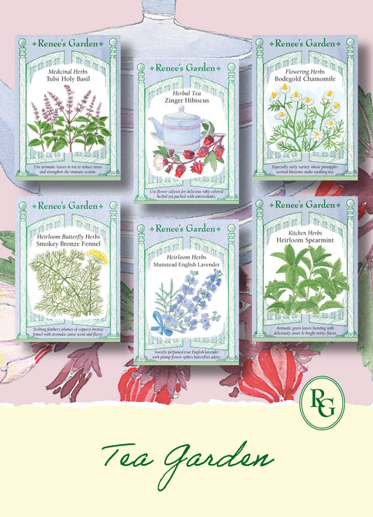 Hand-Picked Seed Bundle - Tea Garden