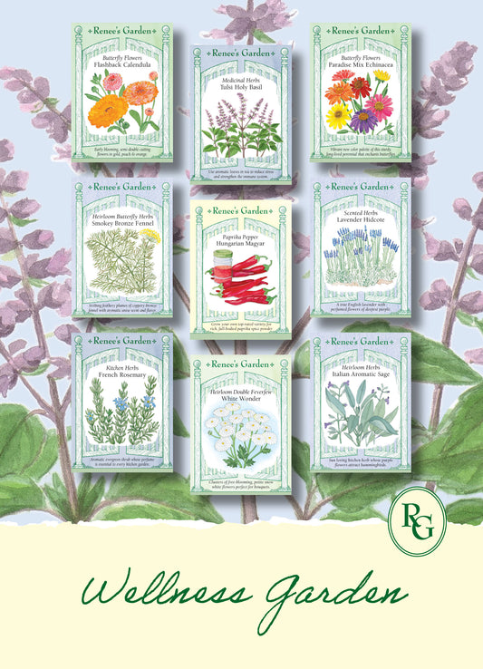 Hand-Picked Seed Bundle - Wellness Garden
