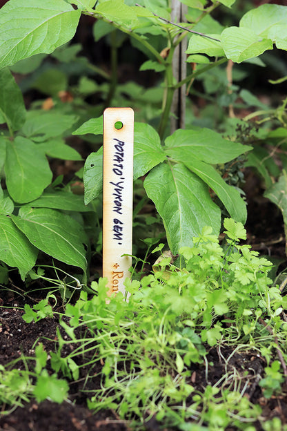 Renee’s Garden Plant Stakes