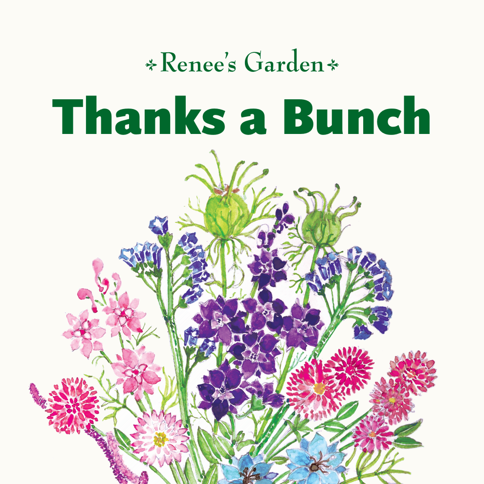 Thanks a Bunch