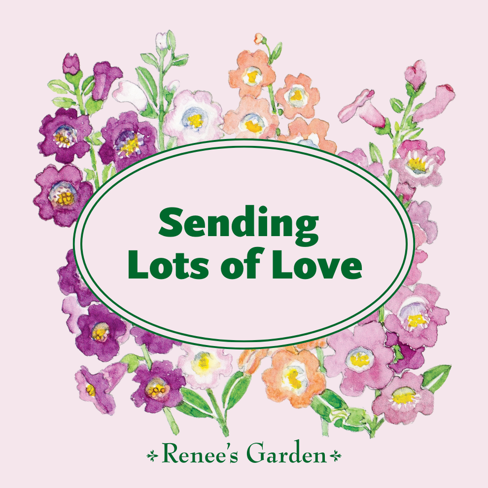 Gift Card - Renee's Garden E-Gift Card