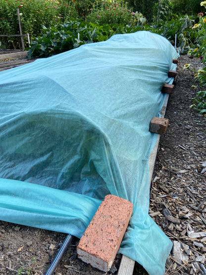 Agryl Floating Row Cover