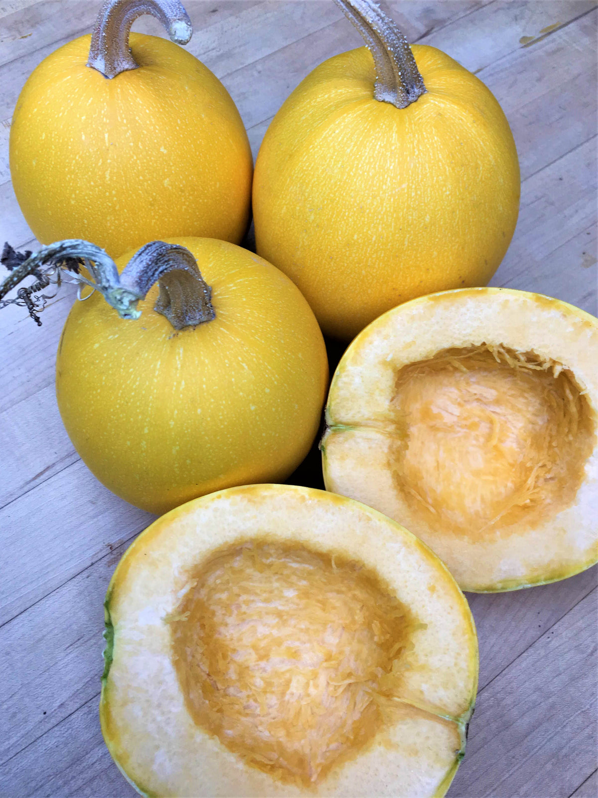 Winter Squash - Baby Spaghetti