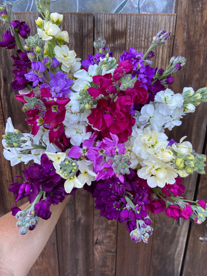 Fragrant Stock - Anytime Mix