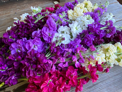 Fragrant Stock - Anytime Mix
