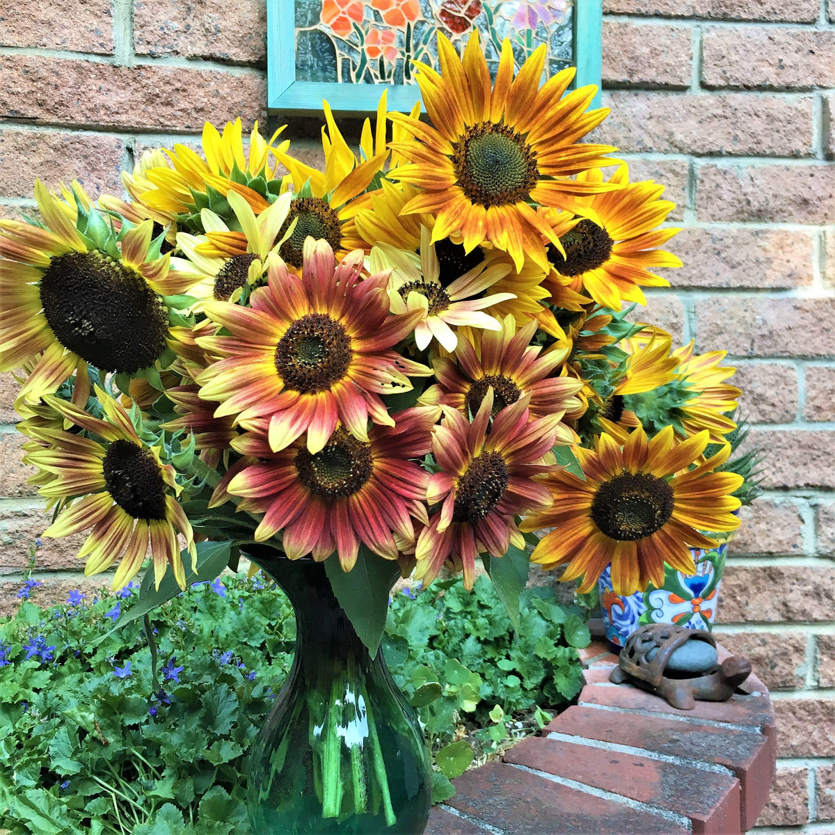 Pollinator & Songbird Sunflowers - Paintbox Bouquet Organic