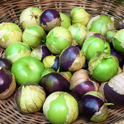 Mexican Tomatillos - Two Color Fiesta