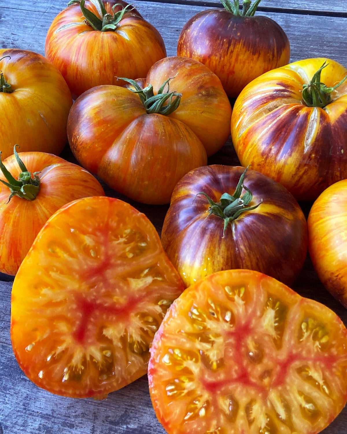 Beefsteak Tomato - Alice’s Dream