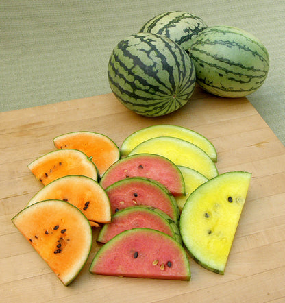 Icebox Watermelons - Rainbow Sherbet