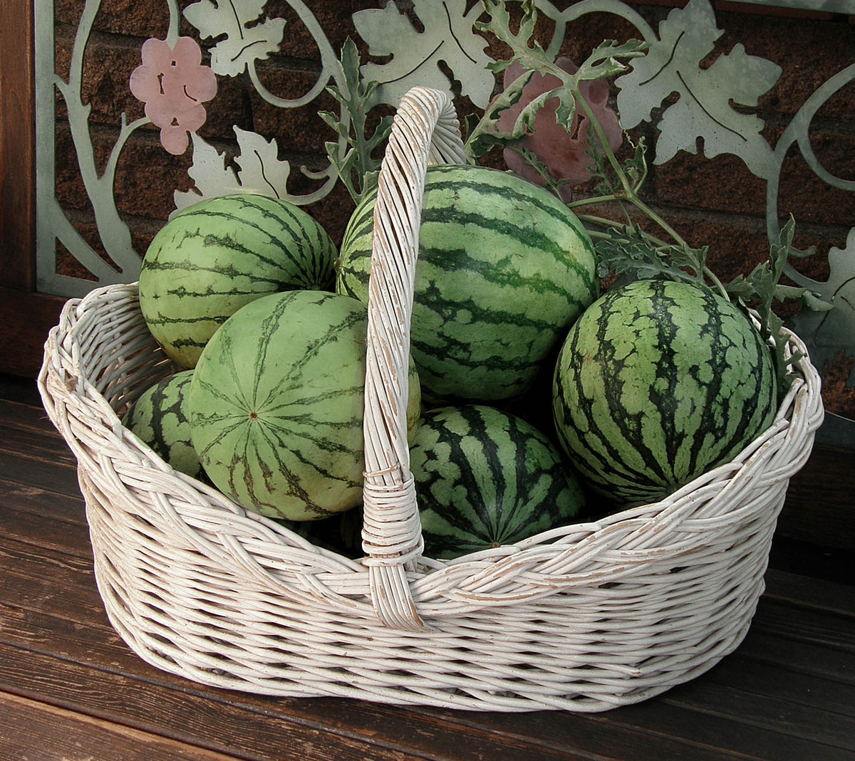 Icebox Watermelons - Rainbow Sherbet
