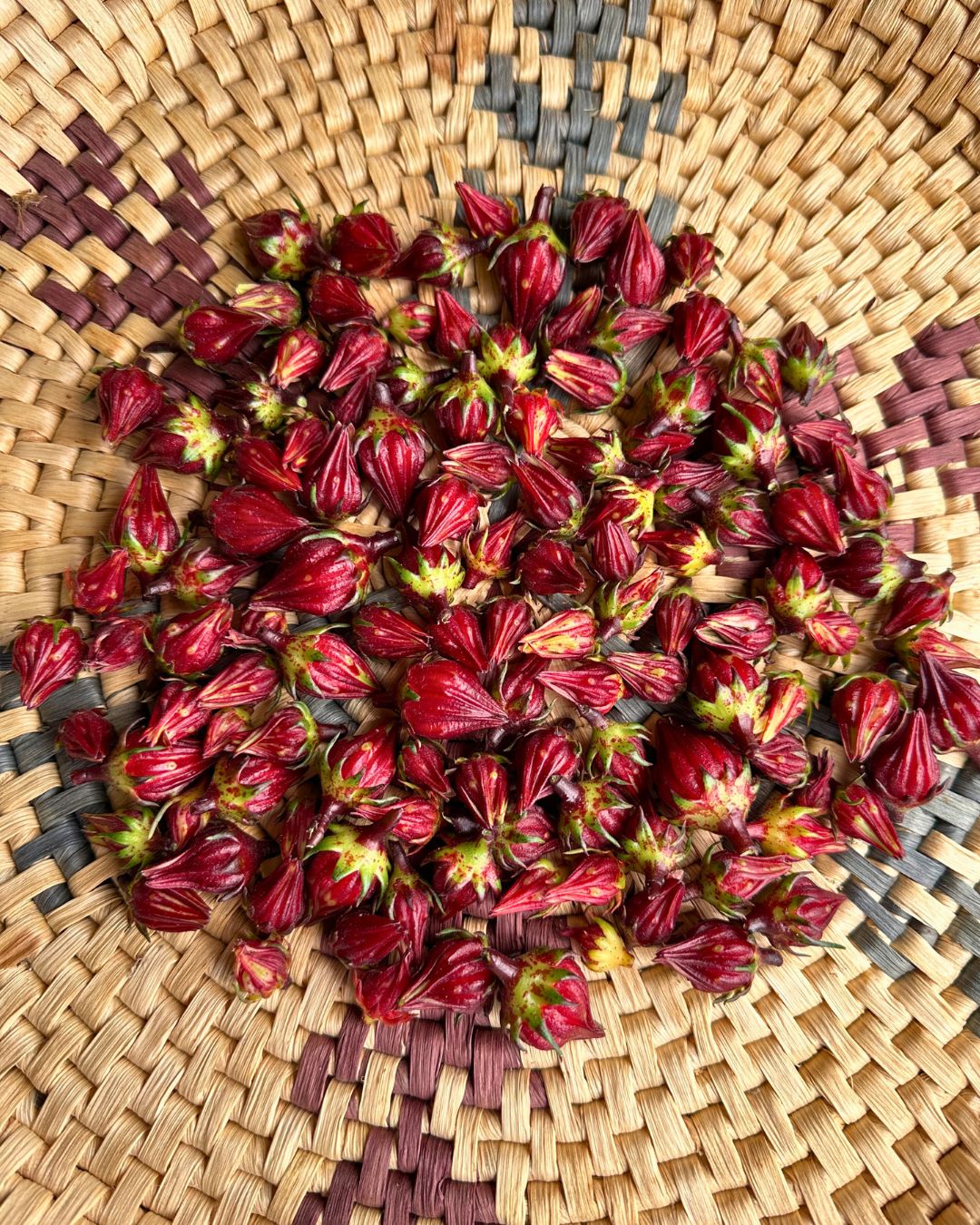 Herbal Tea - Zinger Hibiscus
