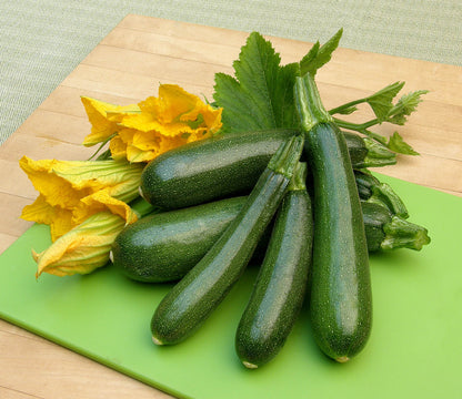 Organic Climbing Zucchini - Incredible Escalator Organic