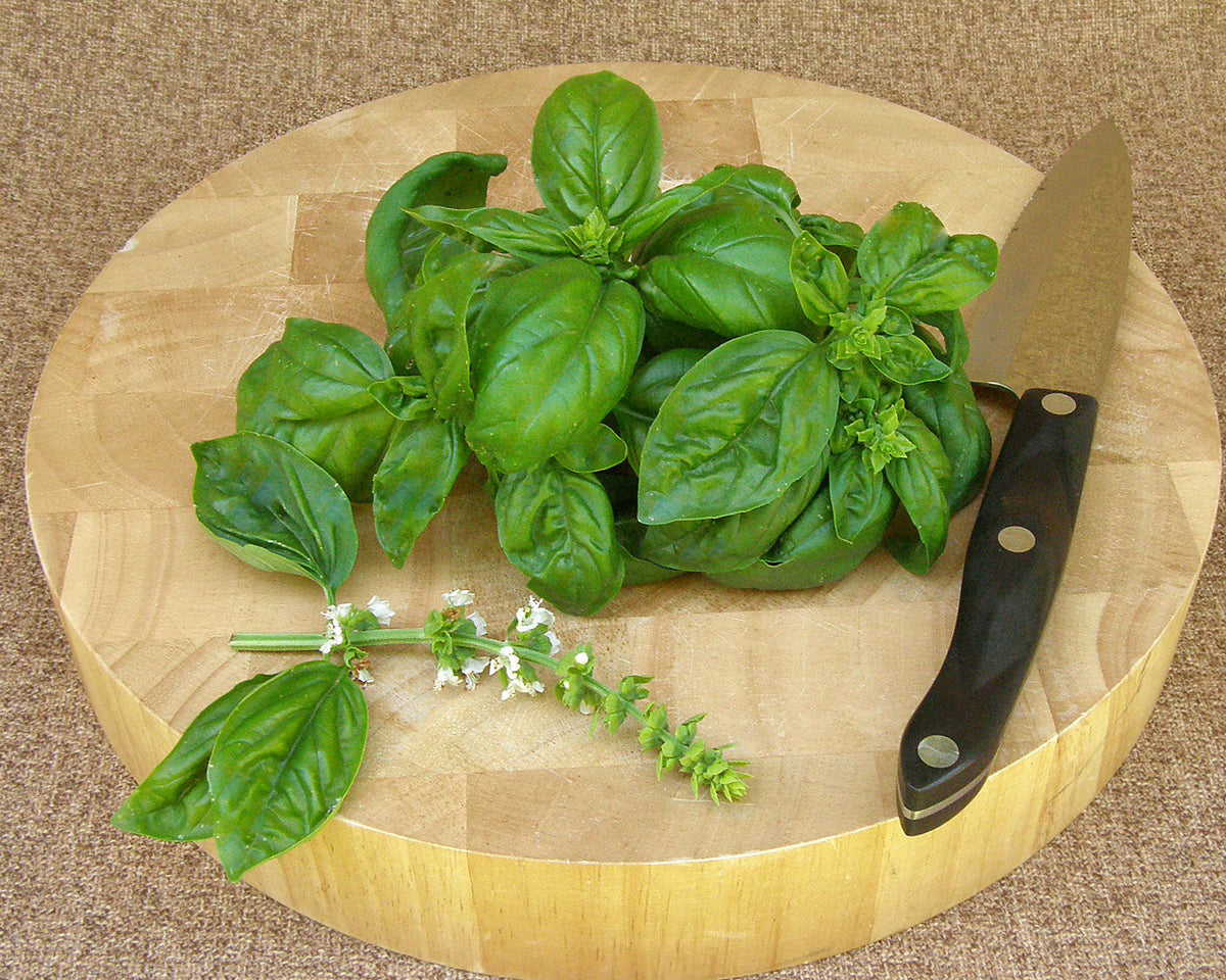 True Italian Basil - Profumo di Genova