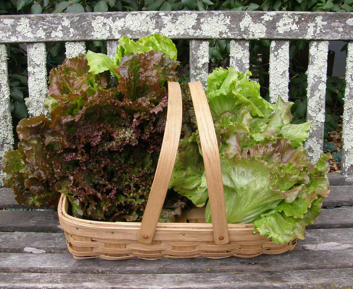 Woven Oak Harvesting Baskets