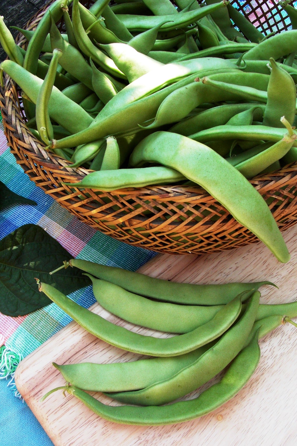 Italian Bush Beans - Roma Improved