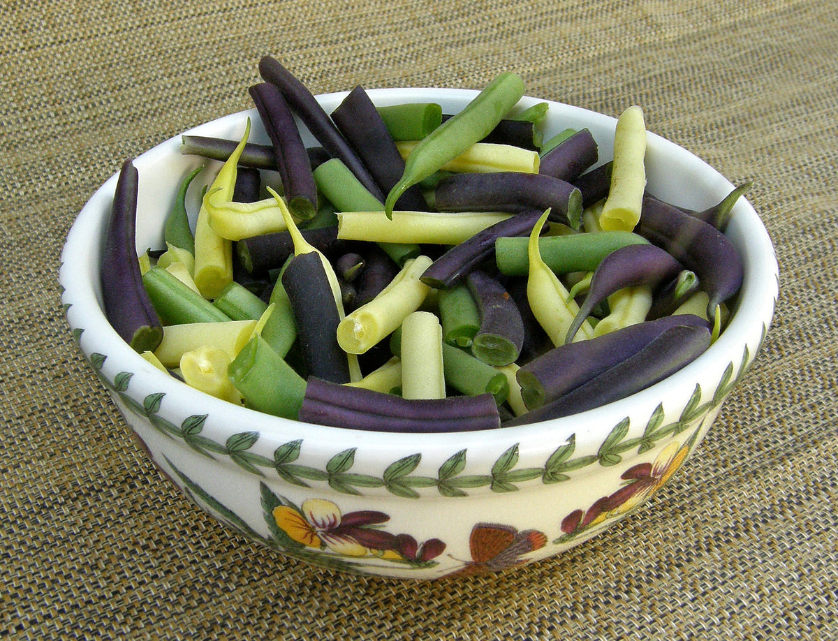 Tricolor Bush Beans - Gold, Purple & Green