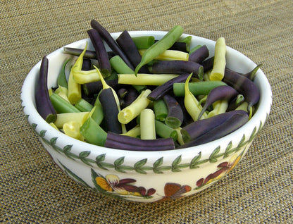 Tricolor Bush Beans - Gold, Purple & Green
