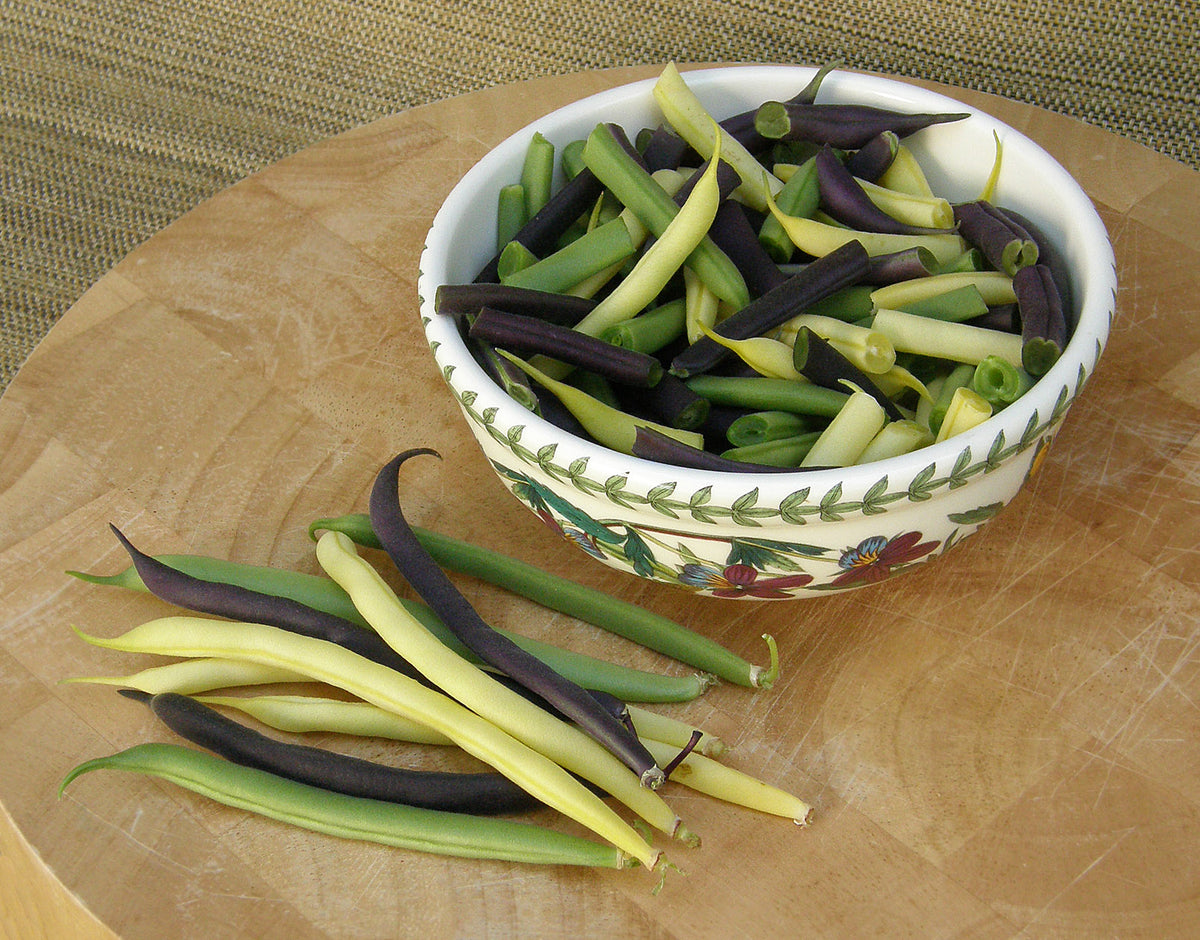 Tricolor Bush Beans - Gold, Purple & Green