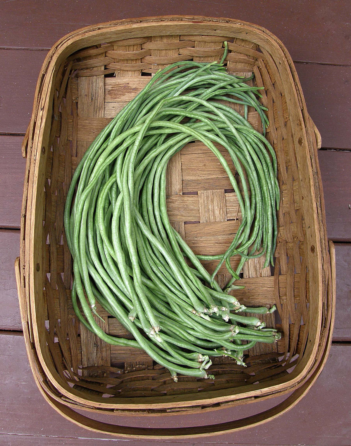 Pole Beans - Yard Long Noodle King