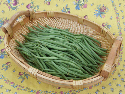 French Baby Bush Beans - Nickel Filet