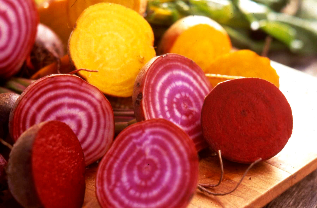 Jewel-Toned Beets - Red, Gold & Candystripe