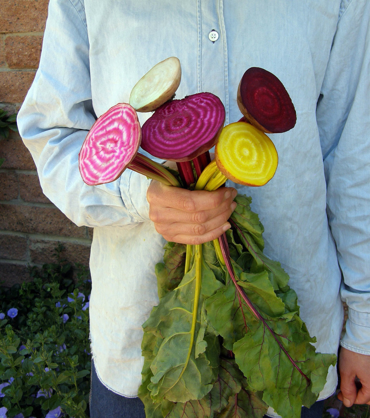 Gourmet Beets - Five Color Rainbow