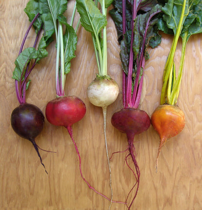 Gourmet Beets - Five Color Rainbow
