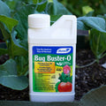 Bug Buster-O
