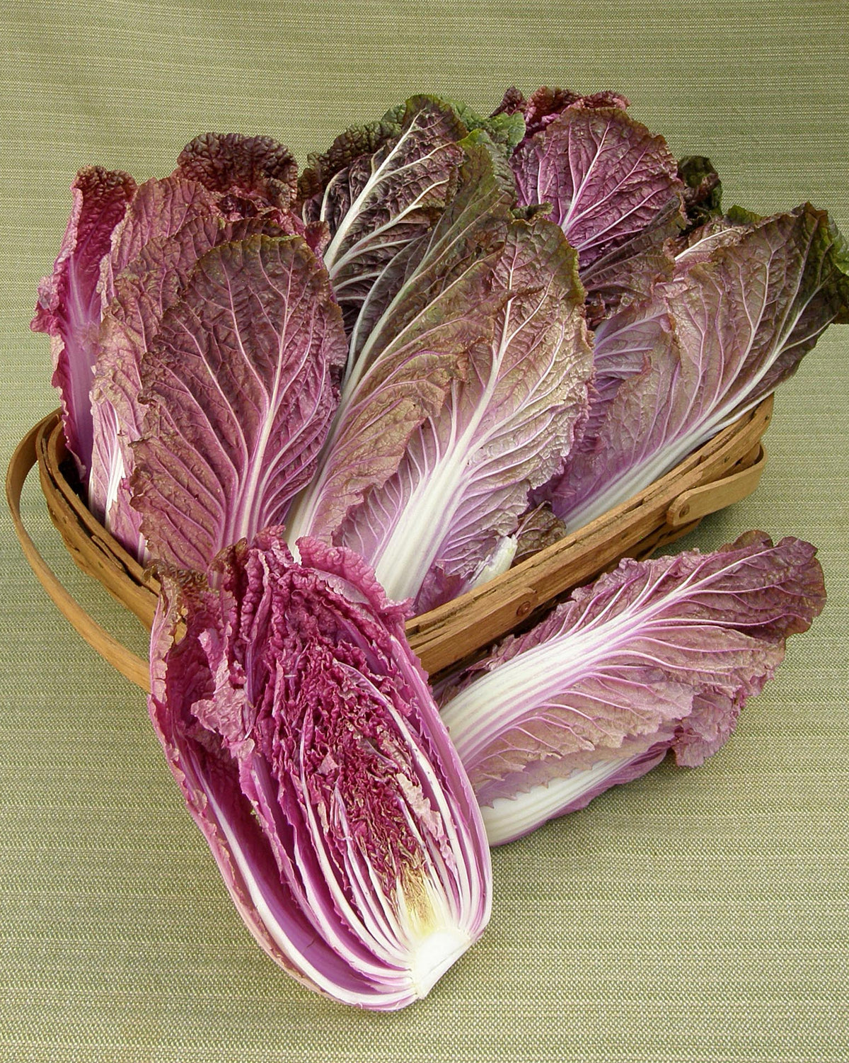 Napa Cabbage - Purple Express