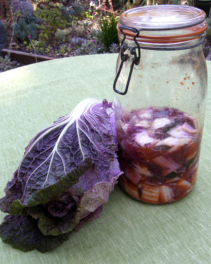 Napa Cabbage - Purple Express