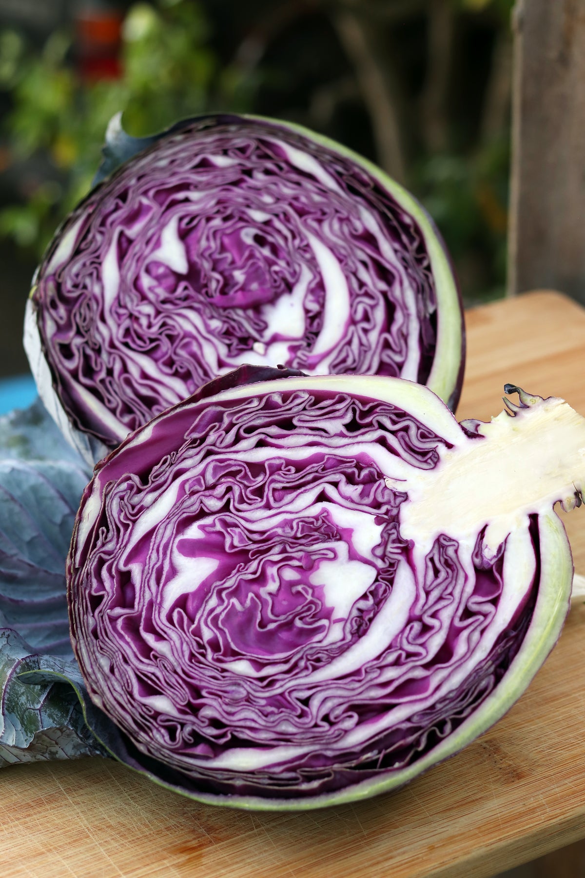 Red/Purple Cabbage - Omero