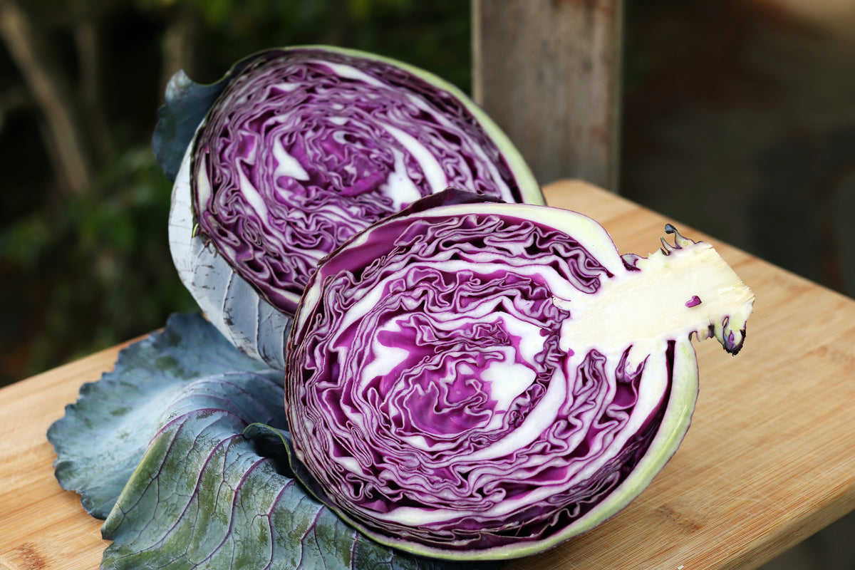 Red/Purple Cabbage - Omero