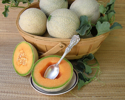 Mini Cantaloupe - Sugar Cube