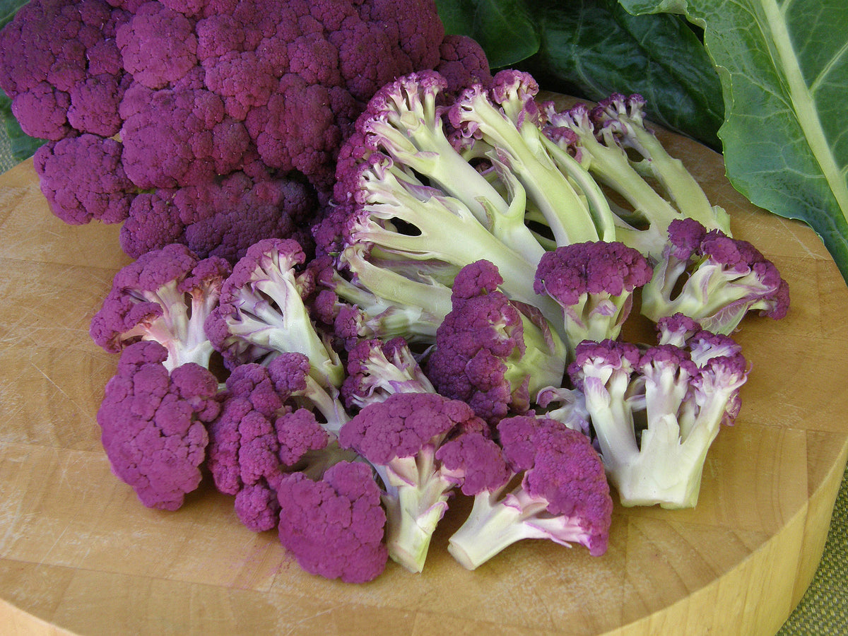 Cauliflower - Purple Crush