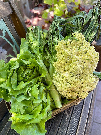 Floret Cauliflower - Fioretto