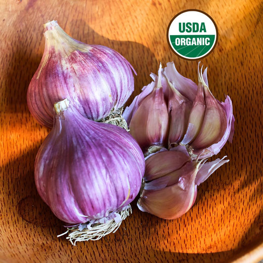 Seed Garlic - Chesnok Red Organic