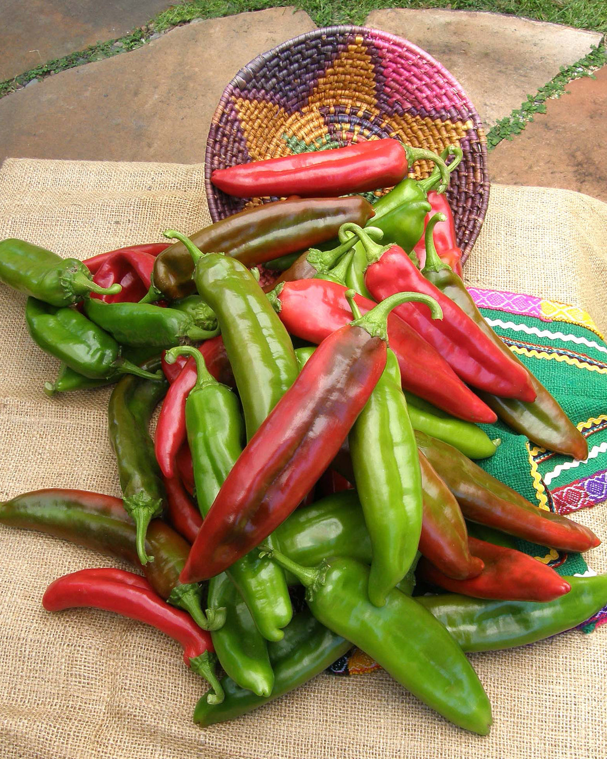 Heritage Chile - NuMex Joe E Parker