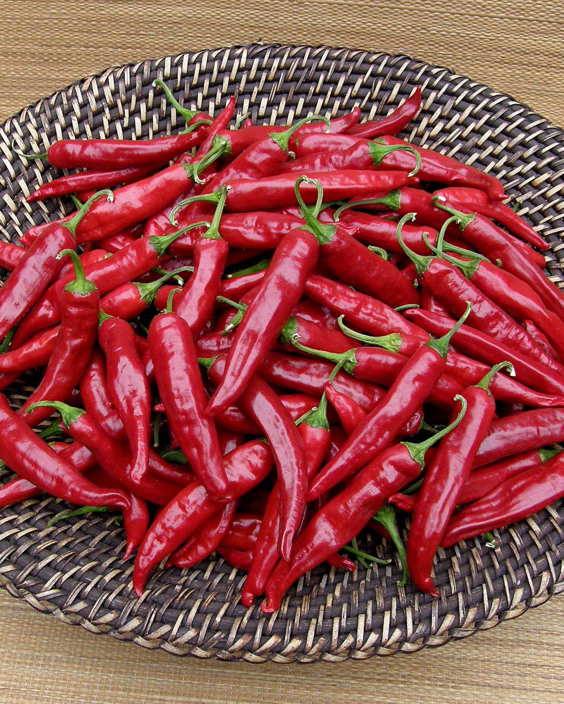 Traditional Chile Peppers - Tibetan Lhasa