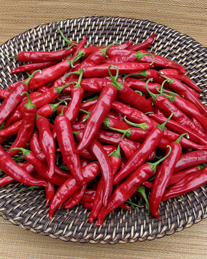 Traditional Chile Peppers - Tibetan Lhasa