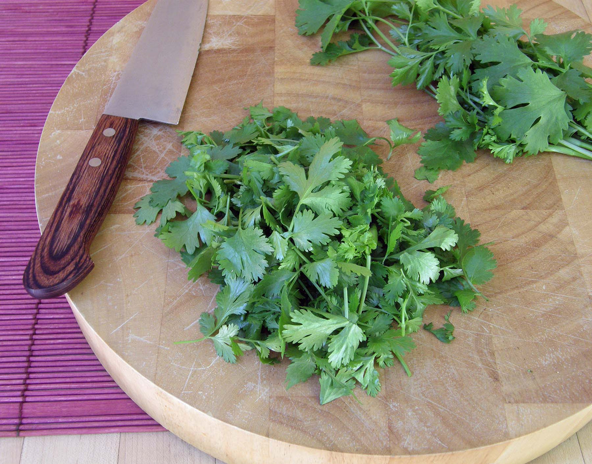 Bonus Pack - Heirloom Cilantro Organic