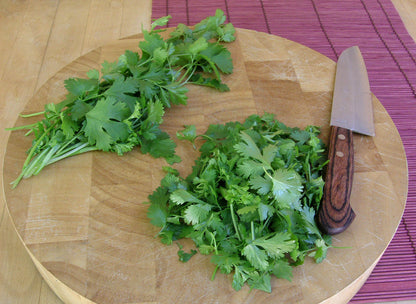 Kitchen Herbs - Slow-Bolt Cilantro