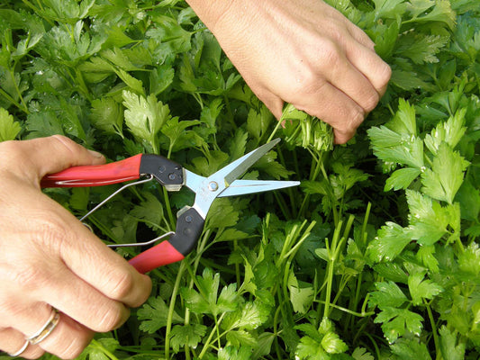 Felco Kitchen and Garden Snips