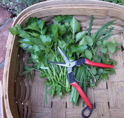 Felco Kitchen and Garden Snips
