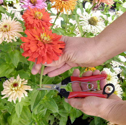 Felco Kitchen and Garden Snips